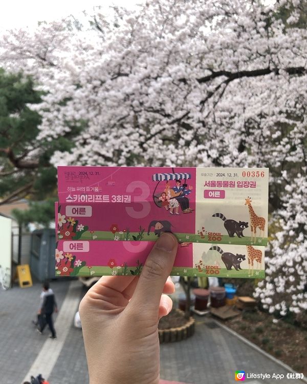 🎐首爾- 首爾動物園