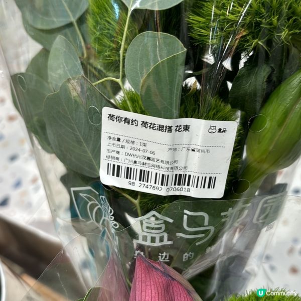 🌸如果你都鍾意我嘅分享如果都鍾意我嘅分享請高抬貴手禁右上角關...