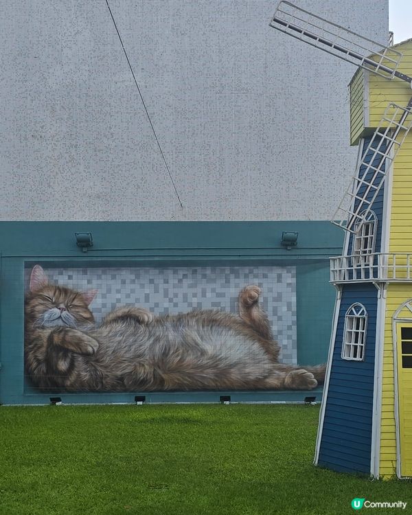 銀礦灣酒店貓貓打咭畫