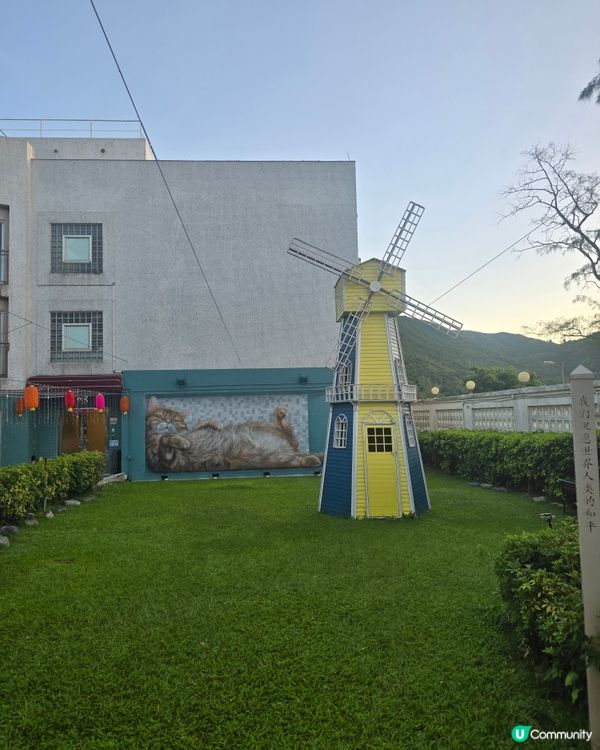 銀礦灣酒店貓貓打咭畫