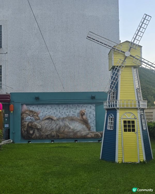 銀礦灣酒店貓貓打咭畫