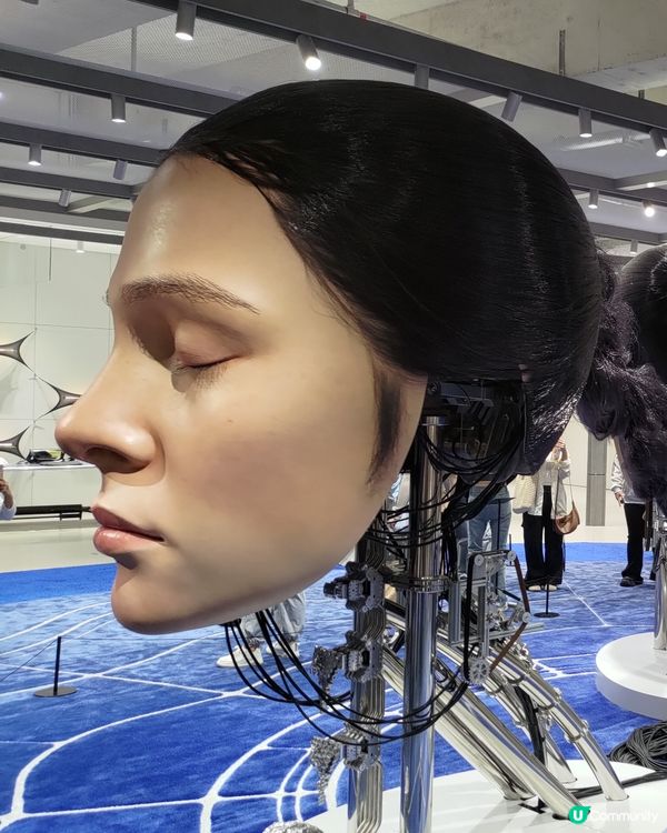 深圳必去打卡熱點🔥Haus Nowhere巨人展爆紅💜