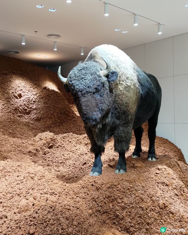 深圳必去打卡熱點🔥Haus Nowhere巨人展爆紅💜