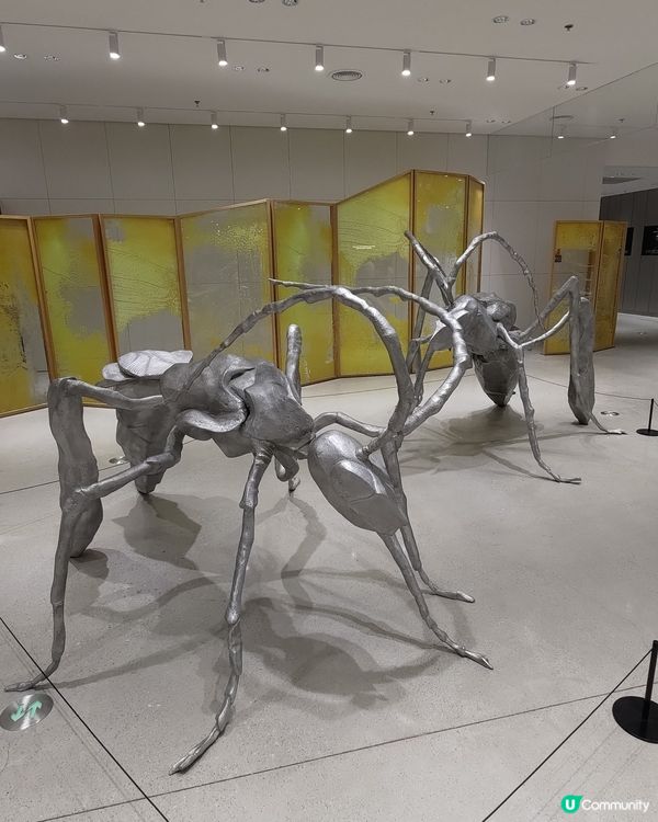 深圳必去打卡熱點🔥Haus Nowhere巨人展爆紅💜