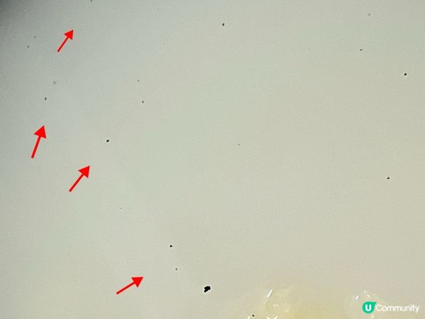 想吃乾亁淨淨的雪耳，點洗好？