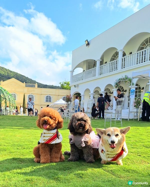 復活節人寵狂歡🎉🐶🐱