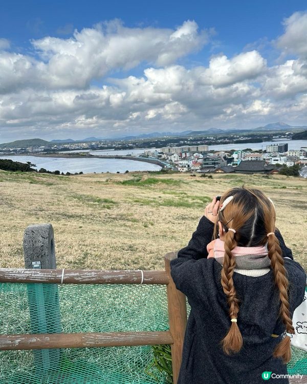 韓國櫻花之旅❤