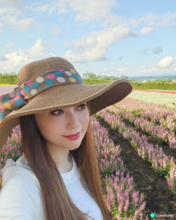 富良野 | 日本最美的賞花勝地 📸 