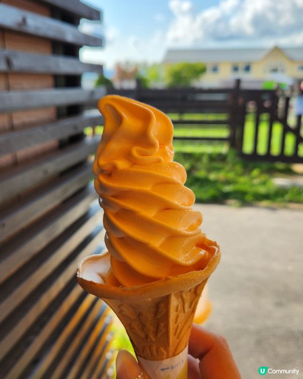 富良野 | 日本最美的賞花勝地 📸 