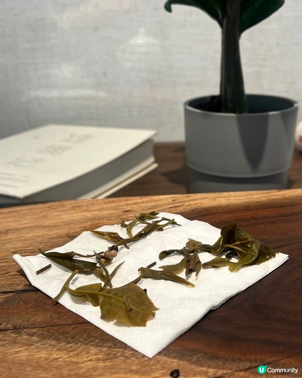 【🍃素某So’N|🍵素食·茶遇】