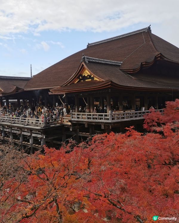 京都清水寺的壯麗景色，寺院座落於音羽山之上，與周圍茂密的紅葉...