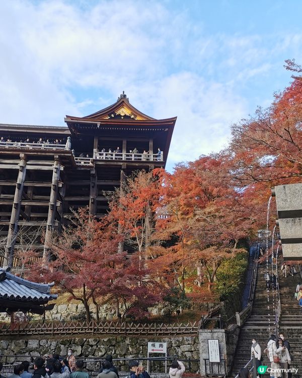 京都清水寺的壯麗景色，寺院座落於音羽山之上，與周圍茂密的紅葉...