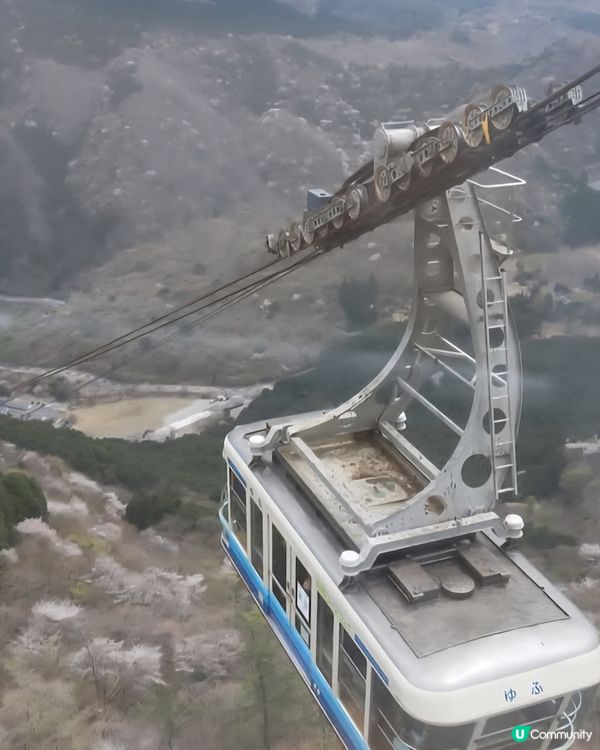 別府欣賞海拔1300公尺山頂