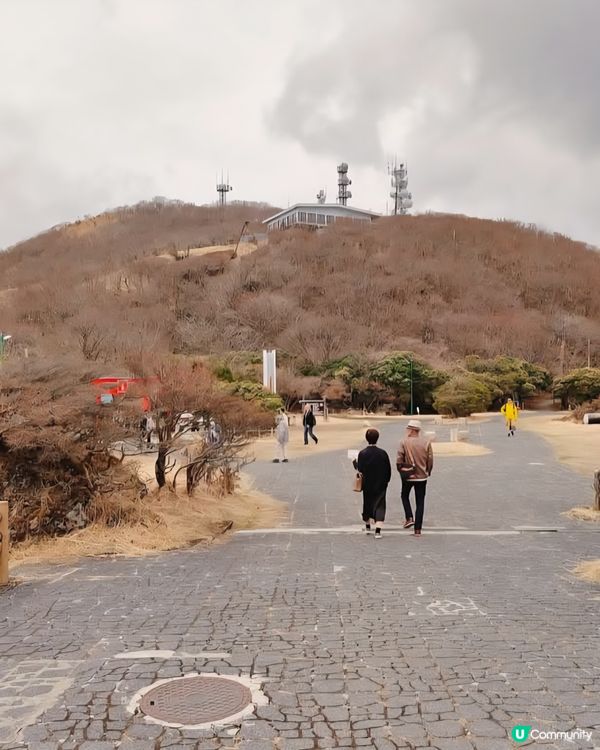 別府欣賞海拔1300公尺山頂