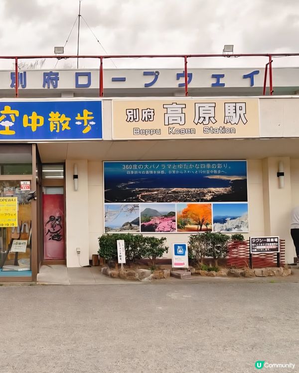 別府欣賞海拔1300公尺山頂