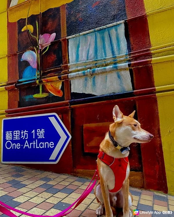 港島🇭🇰隱世打卡點