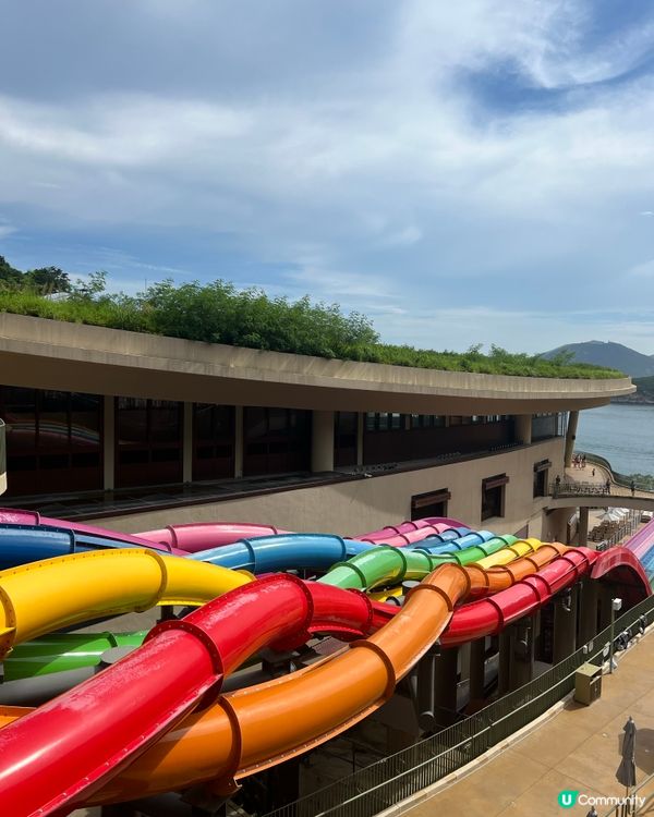 詳細海洋公園水上樂園攻略💦💦