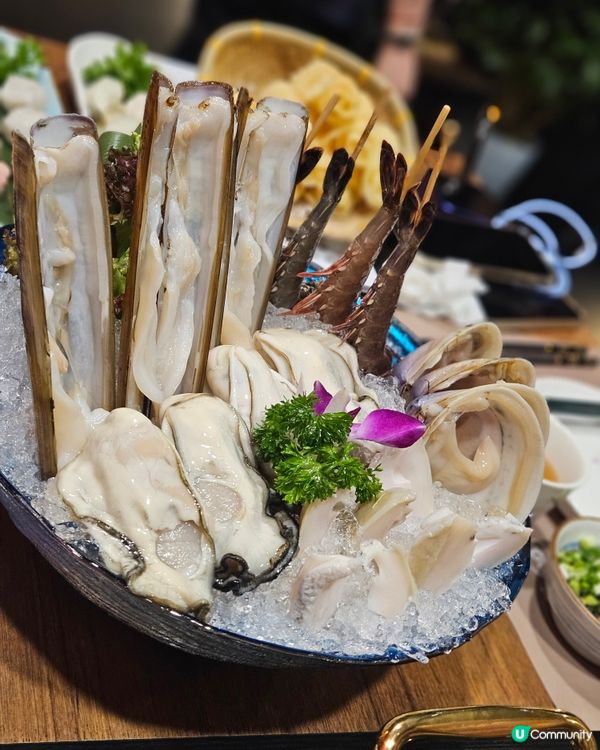 鹿鼎薈靈芝火鍋太子開張！🤤養生必試！