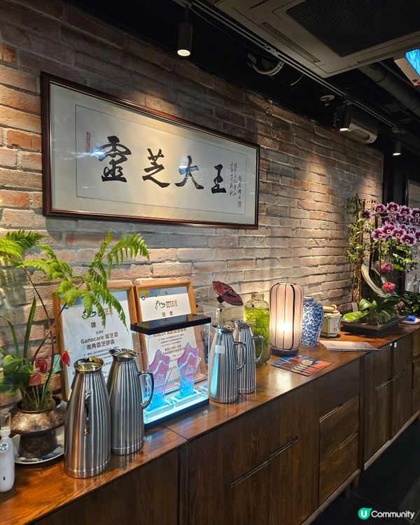 鹿鼎薈靈芝火鍋太子開張！🤤養生必試！