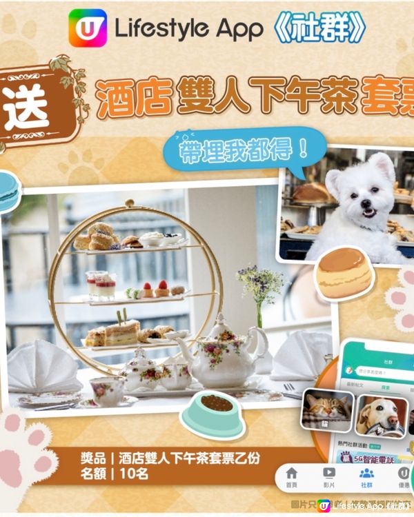 🐨可以帶爸爸媽媽去high tea🥳