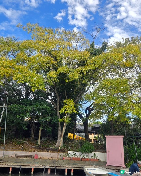 #日本好去處 #日本櫻花 #旅行打卡 #旅行美食 #旅遊行程...