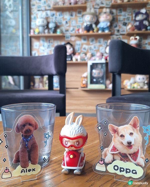 九龍城隱藏美食！打卡一流📸！