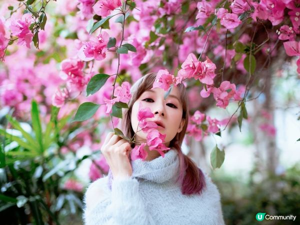 長沙灣元州邨30米簕杜鵑隧道