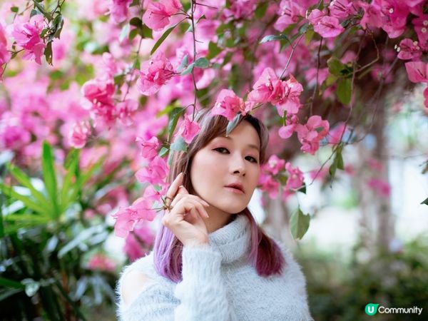 長沙灣元州邨30米簕杜鵑隧道