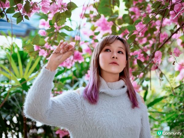 長沙灣元州邨30米簕杜鵑隧道