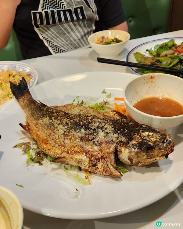 ✨️葵涌大頭蝦餐廳✨️