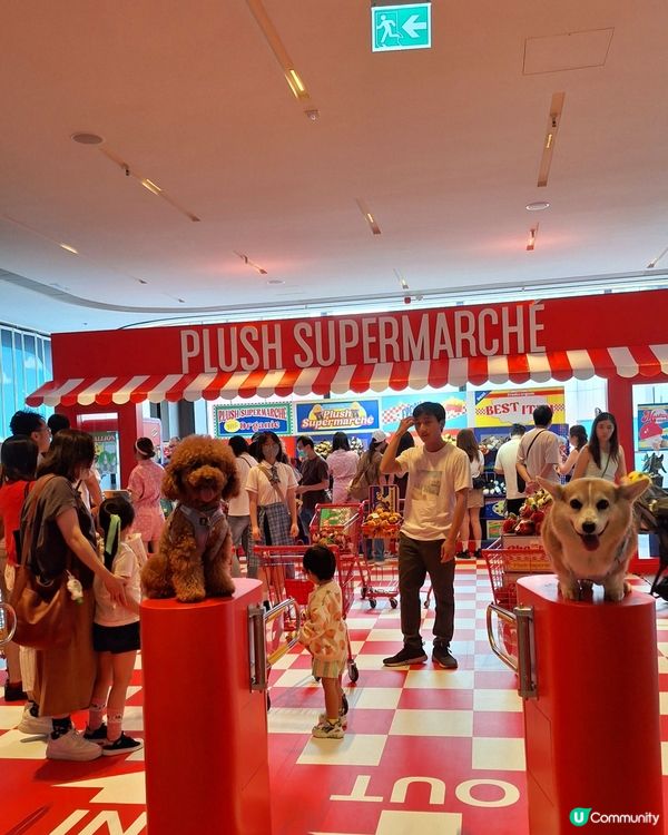 萌爆公仔超市開張啦！🍓🥕