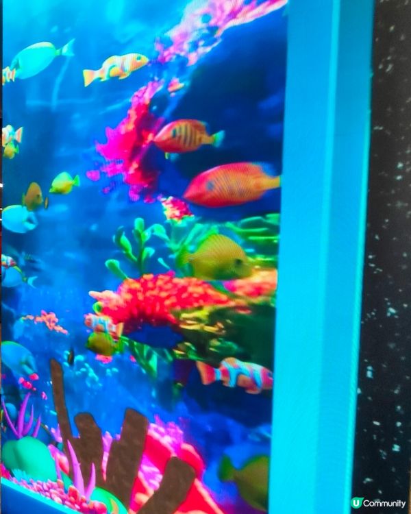 旺角地鐵站近朗豪坊出口，卡通魚缸打卡新地標！🐟📸