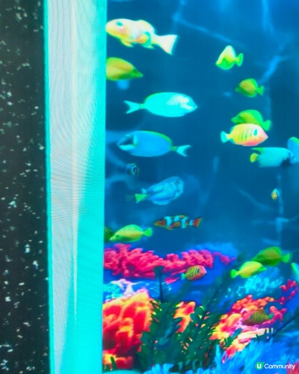 旺角地鐵站近朗豪坊出口，卡通魚缸打卡新地標！🐟📸