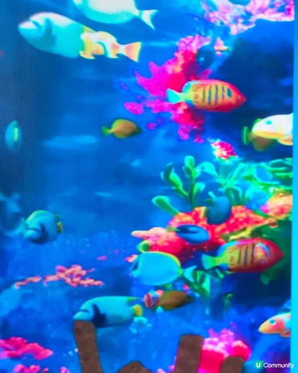旺角地鐵站近朗豪坊出口，卡通魚缸打卡新地標！🐟📸