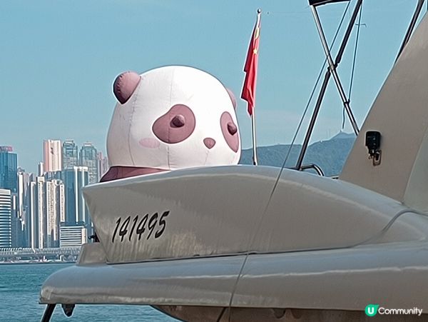 大熊貓🐼遊船河🛥️