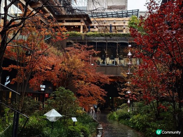 京都賞楓嘆啡之旅☕  新風館驚喜啡舖📸