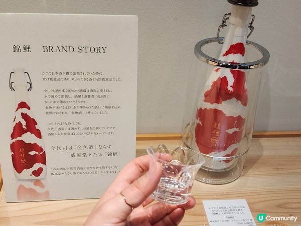 免費今代司酒藏參觀體驗🎌新潟站旁喝到超講究的純米清酒～