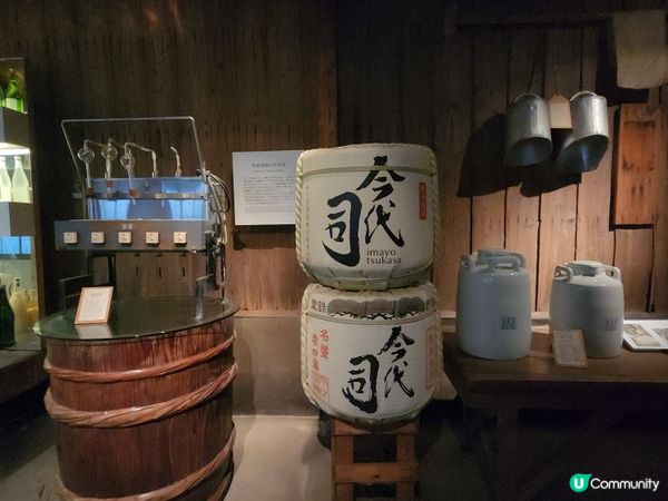 免費今代司酒藏參觀體驗🎌新潟站旁喝到超講究的純米清酒～