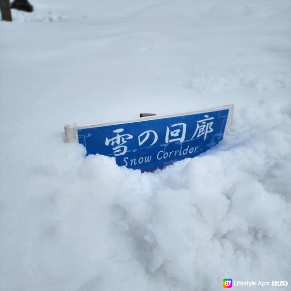 ❄️人生必定要來一次的立山黑部😍❄️