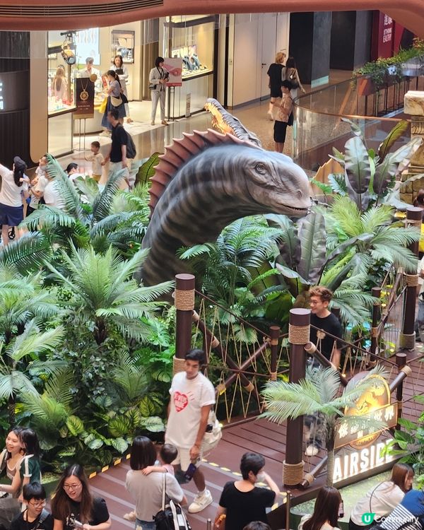 chill賞去水上樂園