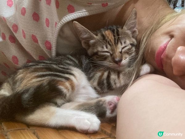 筋疲力盡嘅一日🌞