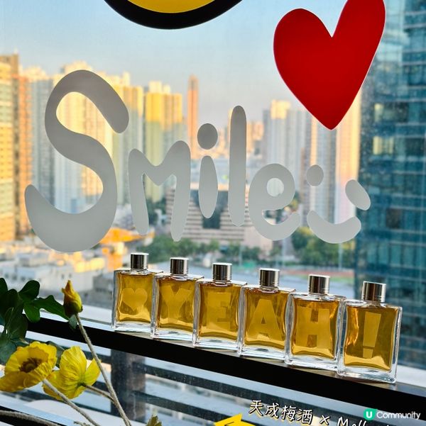 微醺禮物🎁！梅酒威士忌禮盒套裝🥂，送禮自用都正！😋