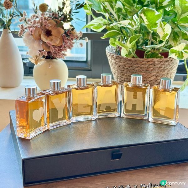 微醺禮物🎁！梅酒威士忌禮盒套裝🥂，送禮自用都正！😋