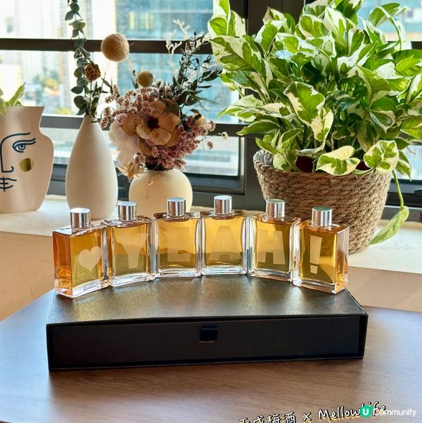 微醺禮物🎁！梅酒威士忌禮盒套裝🥂，送禮自用都正！😋