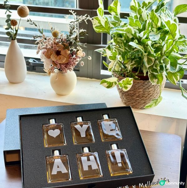 微醺禮物🎁！梅酒威士忌禮盒套裝🥂，送禮自用都正！😋