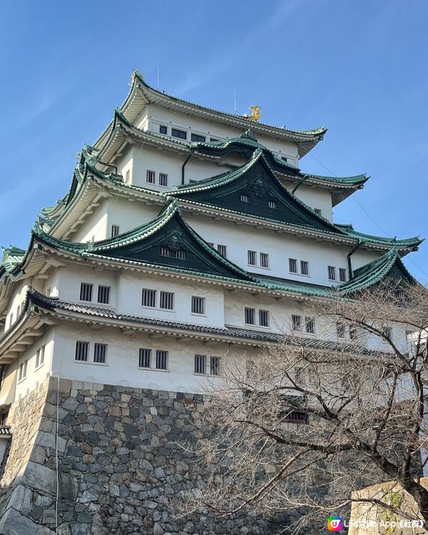 榮登首位被指定為日本國寶之名古屋城👍