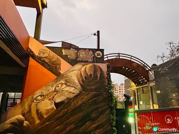 深圳小眾景點 — 大田匠作文化村