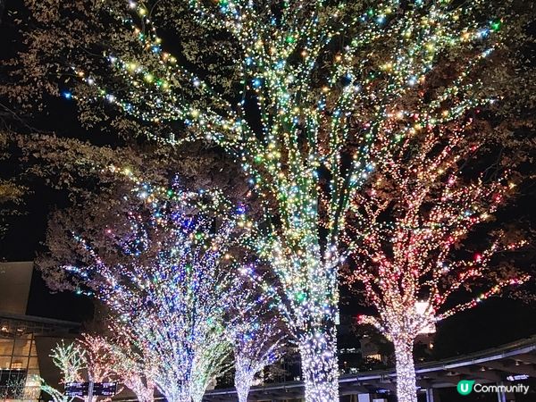 東京六本木聖誕必影鏡位