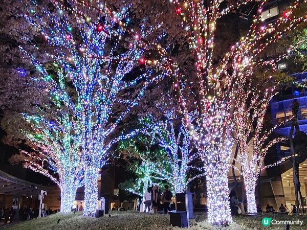 東京六本木聖誕必影鏡位