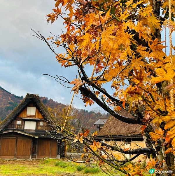 世界遺產 — 白川鄉